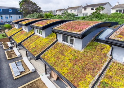 Green Roofs in Ireland: Benefits, Costs, and Planning Guide (2025)
